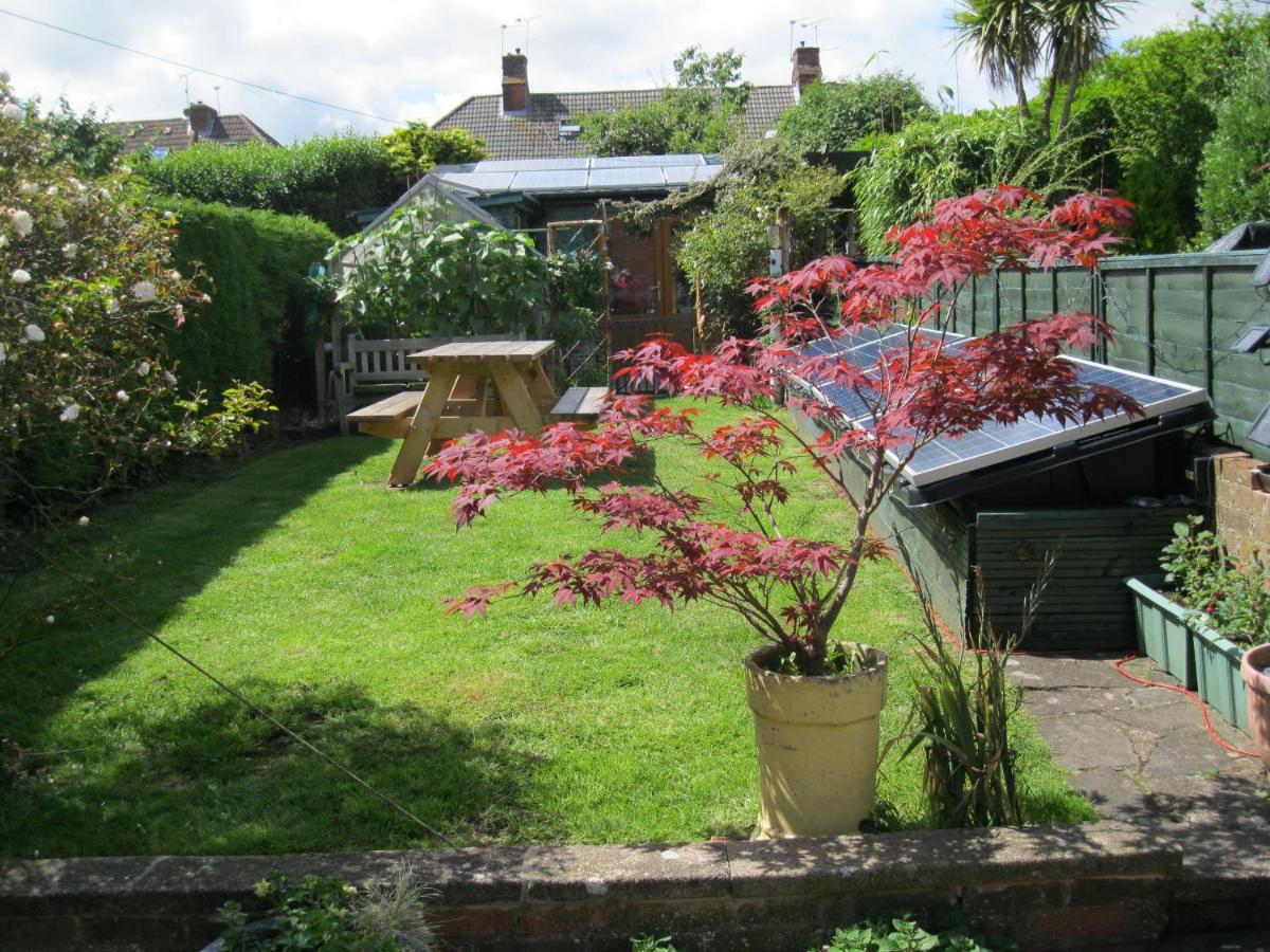 Perfect For Petersfield B&B Exterior foto