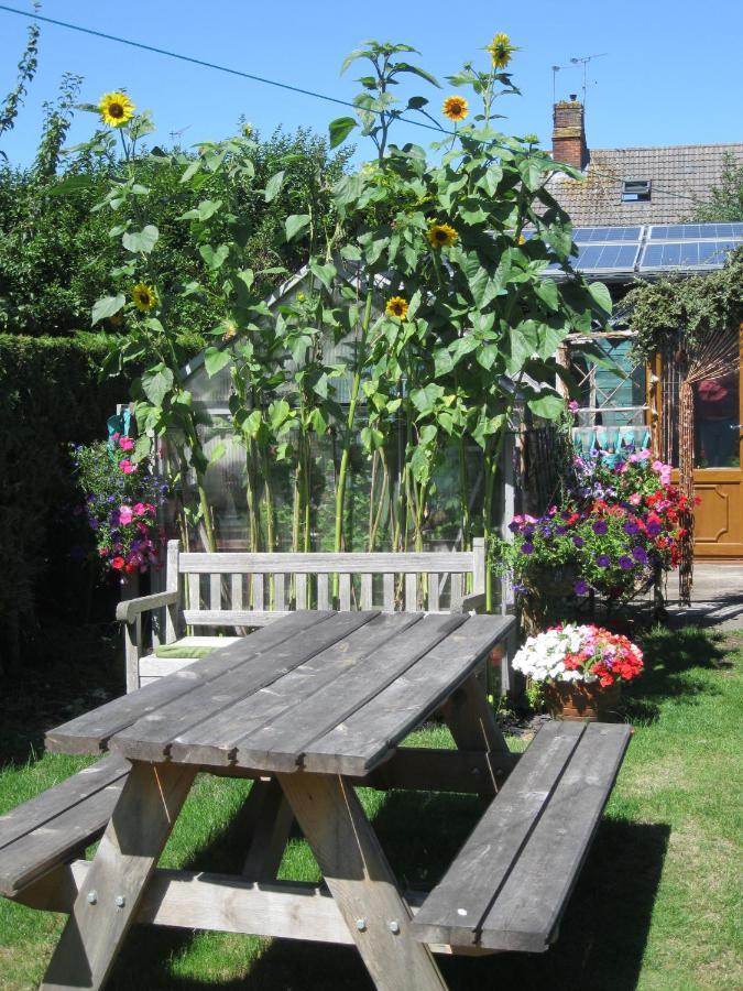 Perfect For Petersfield B&B Exterior foto