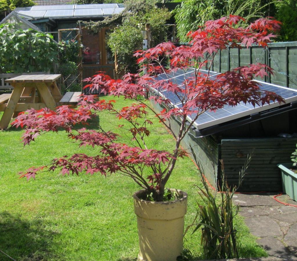 Perfect For Petersfield B&B Exterior foto